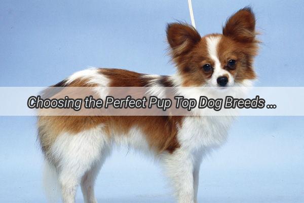 Choosing the Perfect Pup Top Dog Breeds for Kids and Why Theyre Ideal Playmates